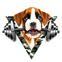 dog crossfit Sticker by Puppies Make Me Happy