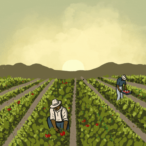 Sunshine Farm GIF by Creative Courage
