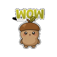 Wonder Wow Sticker