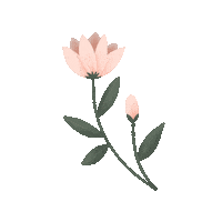 delaneyylauren pink flower green aesthetic Sticker