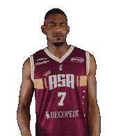 Basket Alliance Sticker by BC GRIES OBERHOFFEN