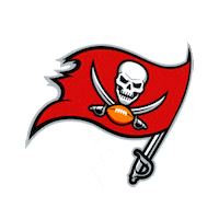 tampa bay STICKER by imoji