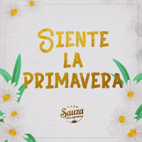 Flower Sun GIF by Casa Sauza