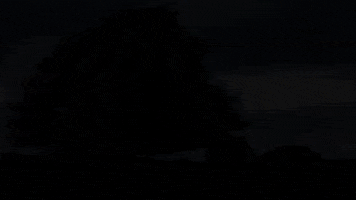 Music Video Chill GIF