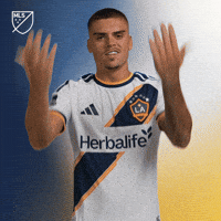 Vamos Lets Go GIF by Major League Soccer