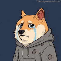 Sad Dog GIF by Doge Pound