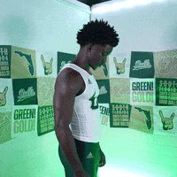 South Florida Horns Up GIF by USF Athletics