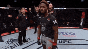 Ufc 231 Sport GIF by UFC