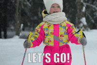SkiBro skiing skibro GIF