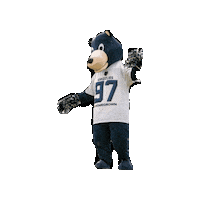 Happy American Football Sticker by Hannover Grizzlies