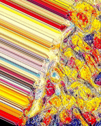 Art Loop GIF