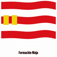 Flag Spain GIF by Formación Ninja
