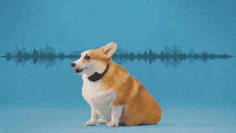 6469f2d6191e4b7892f8ffbb862c6395 giphygifmaker GIF