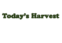 Gardening Harvest Sticker