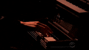 stephen colbert GIF