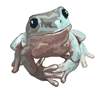 Frog Cute Animal Sticker