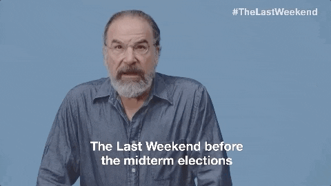 mandy patinkin vote GIF by Swing Left