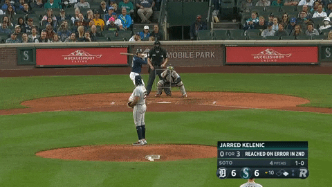 estee42 giphyupload GIF