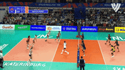 United States Yes GIF by Volleyball World