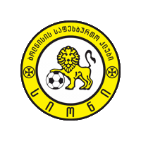 Erovnuli Liga Eliga Sticker by Georgia Gff