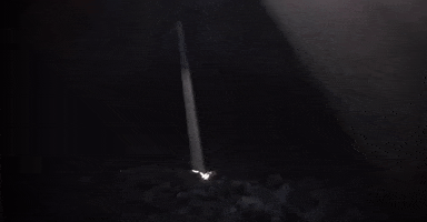 oregon GIF