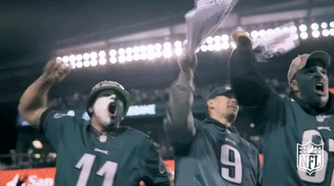 philadelphia eagles football GIF by NFL