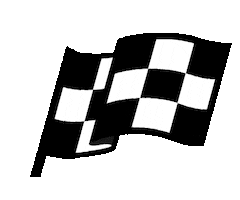 winner win Sticker by NASCAR