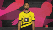 Borussia Dortmund No GIF by Bundesliga