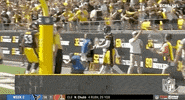 Pittsburgh Steelers Football GIF by NFL