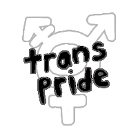 Trans Day Of Visibility Lgbt Sticker