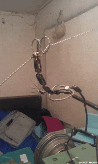 Animation Computer GIF by Alex Boya