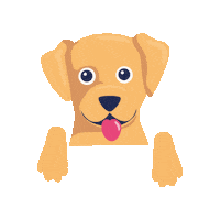 Petcare Sticker by Better Vet