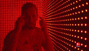 Harry Kane Football GIF by Bundesliga