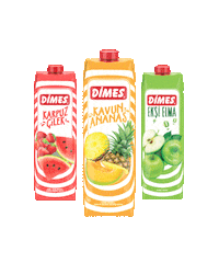 Strawberry Watermelon Sticker by Dimes