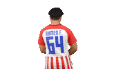Football Soccer Sticker by Gulf United FC
