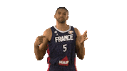 France Game Sticker by FIBA