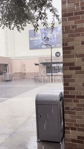 kellytraceygagnon giphyupload GIF