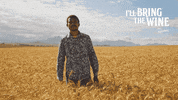 Ice Cream Wine GIF by Nederburg