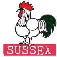 Sussex Sticker