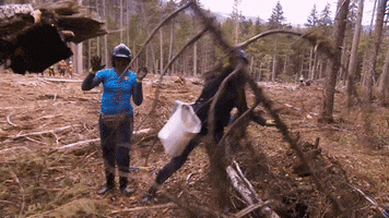 ctv amazing race tarc the amazing race canada #amazingracecanada GIF