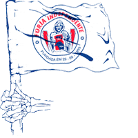 Parana Clube Brazil Sticker by Torcida Fúria Independente