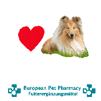 Border Co Sticker by Europeanpetpharmacy