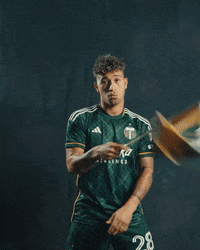 Major League Soccer Sport GIF by Timbers