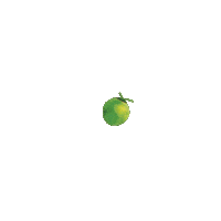 Coconut Hydrate Sticker by Hydro Coco
