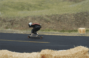 festival of speed skate GIF by hateplow
