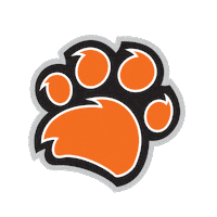 Fun Athletics Sticker by Rochester Institute of Technology