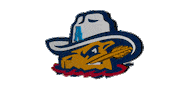 texas amarillo Sticker by Sod Poodles