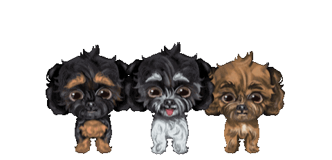 Katrina Cockapoos Sticker