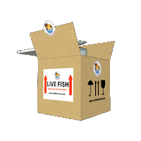 goldfishisland gfi gfiaaa live fish livefish Sticker