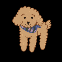 Wewe GIF by Savonnierpatissier